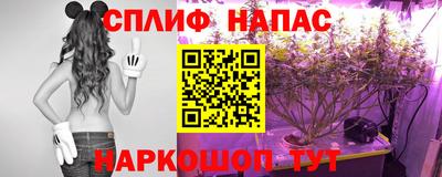 бошки Гусь-Хрустальный